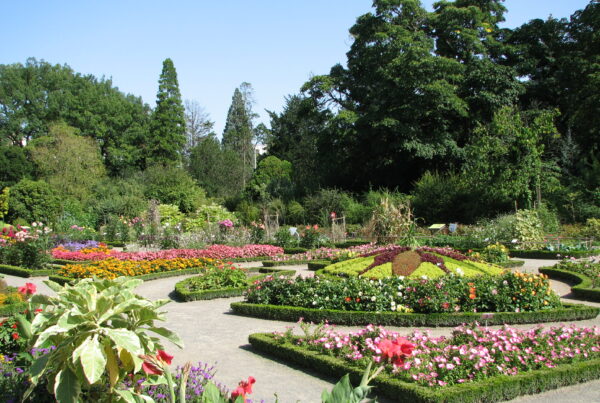 Jardin botanique de Lyon : la TVA des paysagistes et des entreprises d’espaces verts